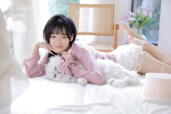 风骚律师